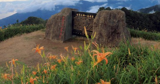 日昇之鄉-太麻里之金針山山頂花海景光